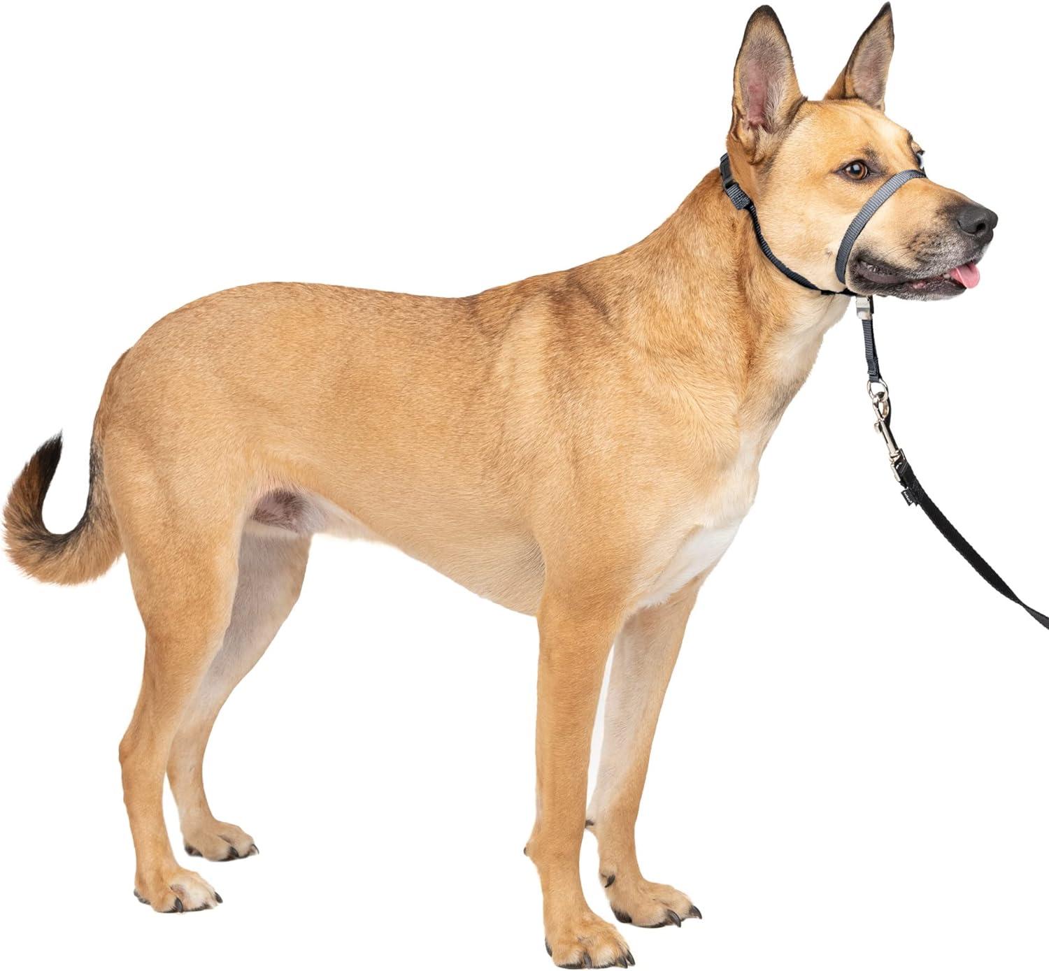 PetSafe Gentle Leader No-Pull Dog Headcollar, Charcoal Grey, Medium