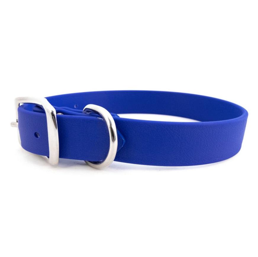 Auburn Leathercrafters Sparky's Choice Standard Buckle Dog Collar, Blue, 3/4-in x 11-14-in