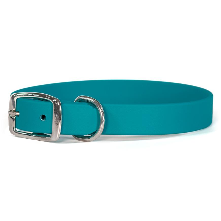 Auburn Leathercrafters Sparky's Choice Standard Buckle Dog Collar, Teal, 3/4-in x 11-14-in