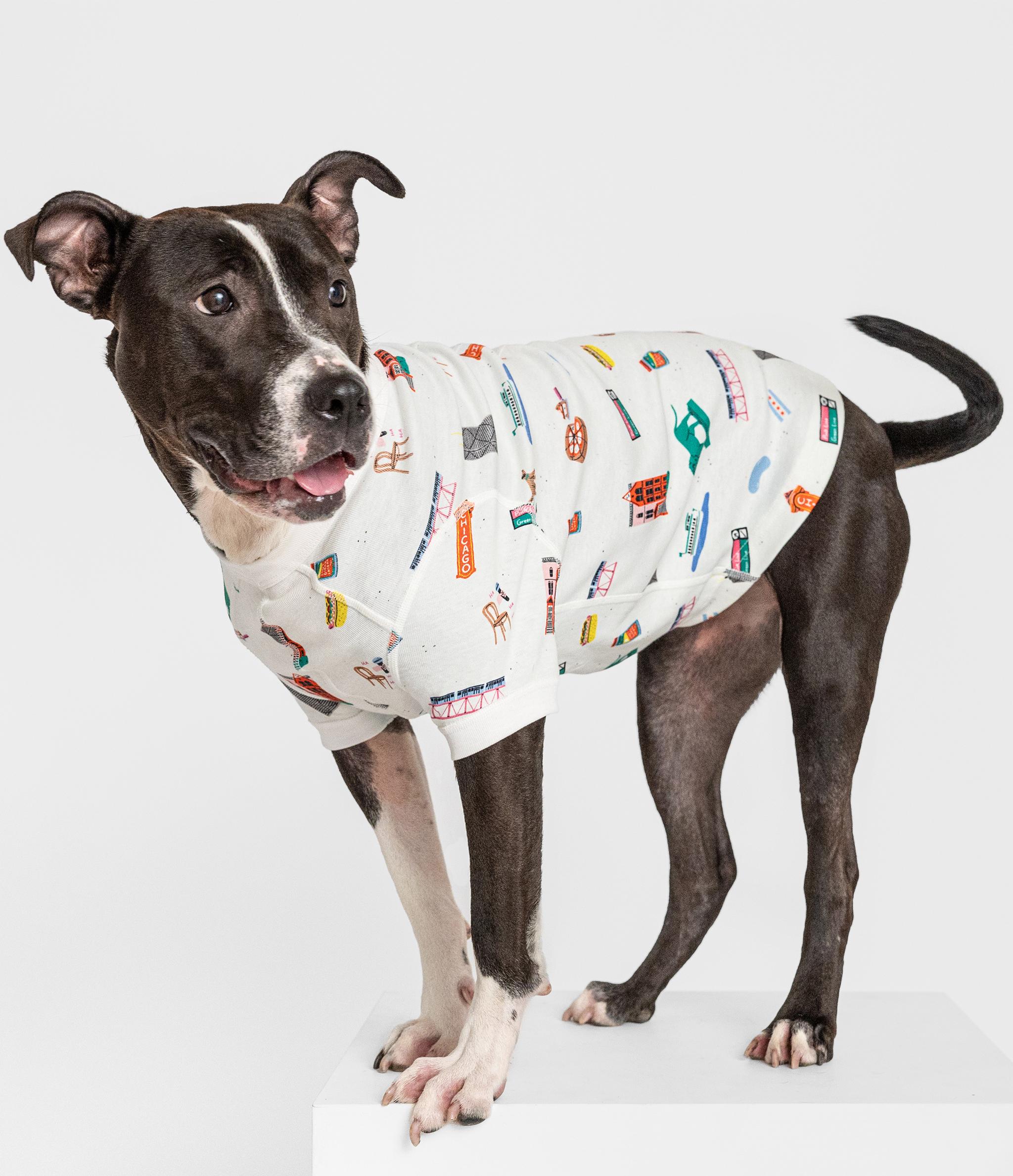 Smaller Things Pet Pajamas, Goodnight, Chicago, Small