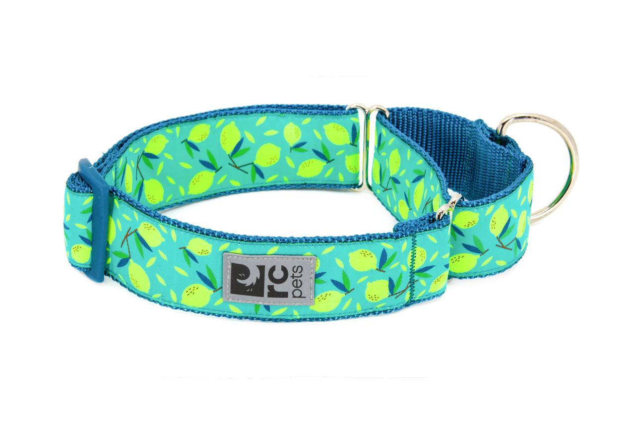 RC Pets All Web Training Dog Collar, Lemonade