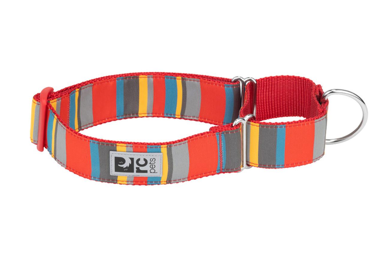 RC Pets Easy Clip Web Training Dog Collar, Multi Stripes, Large