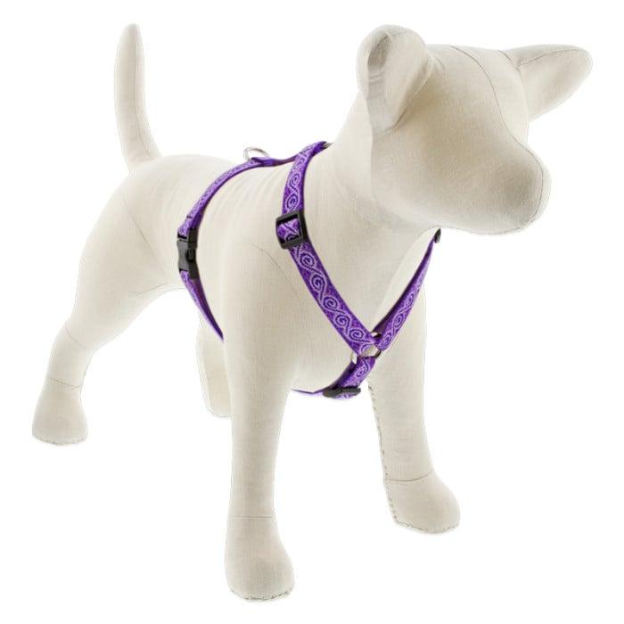 Lupine Pet Original Designs Roman Dog Harness, Jelly Roll, 3/4-in x 20-32-in