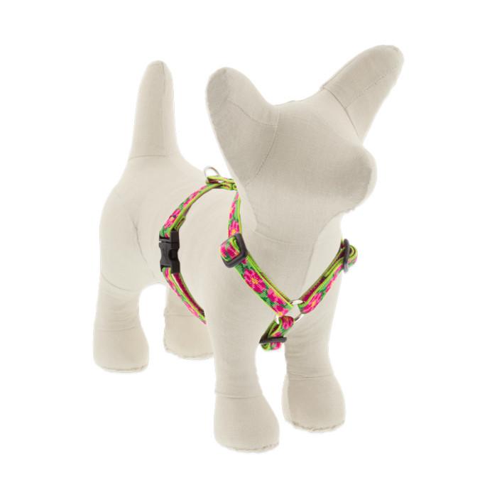 Lupine Pet Original Designs Roman Dog Harness, Petunias, 1/2in x 1220