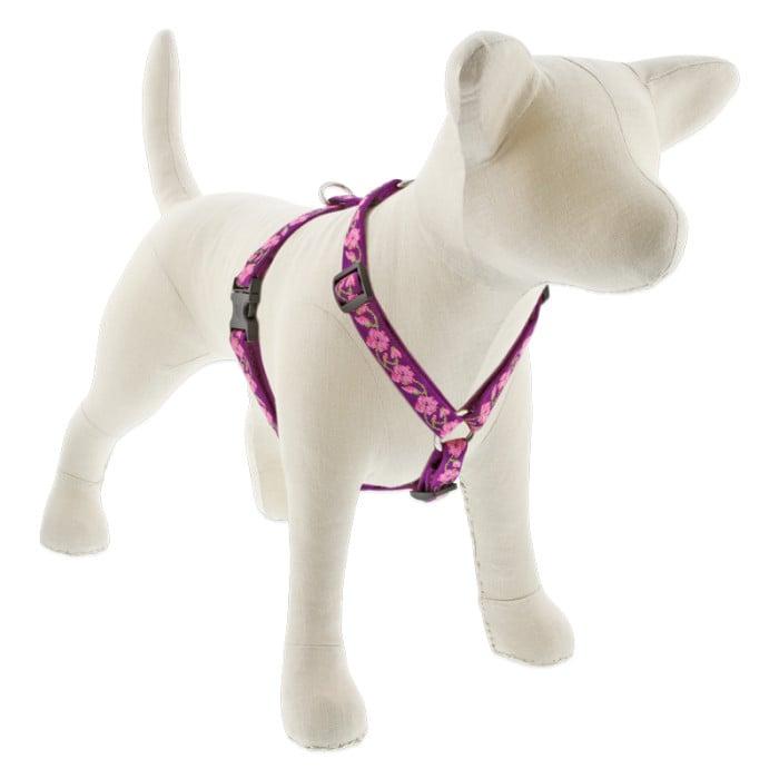 Lupine Pet Original Designs Roman Dog Harness, Rose Garden, 3/4-in x 20-32-in