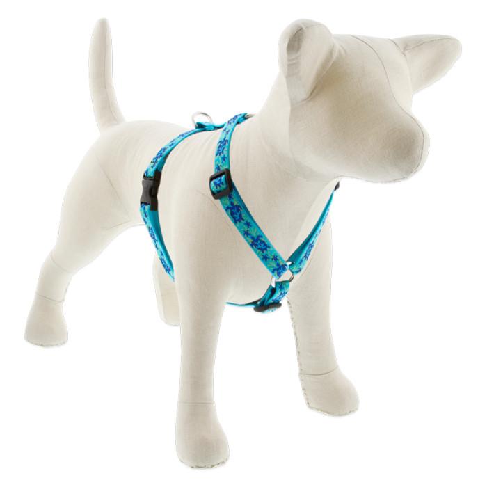 Lupine Pet Original Designs Roman Dog Harness, Turtle Reef, 3/4-in x 14-24-in