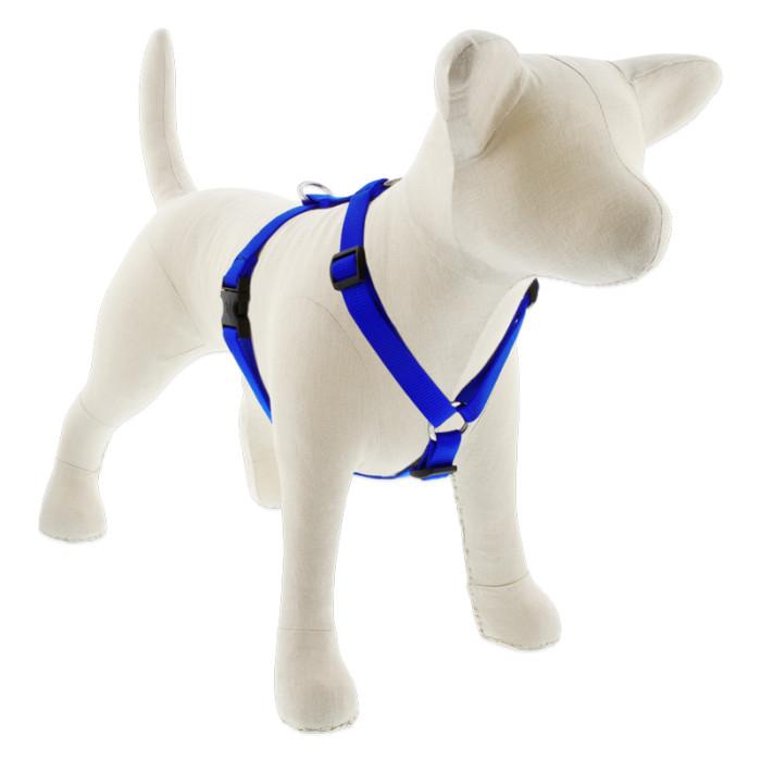 Lupine Pet Basic Solids Roman Dog Harness, Blue, 3/4-in x 14-24-in