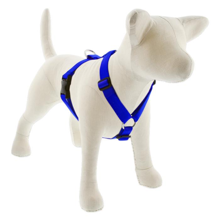 Lupine Pet Basic Solids Roman Dog Harness, Blue, 1-in x 24-38-in