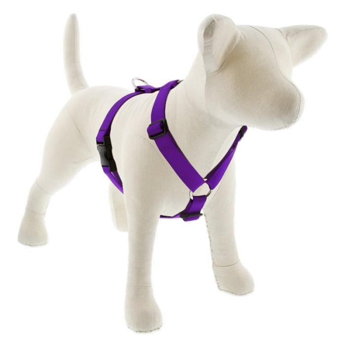 Lupine Pet Basic Solids Roman Dog Harness, Purple, 1-in x 24-38-in