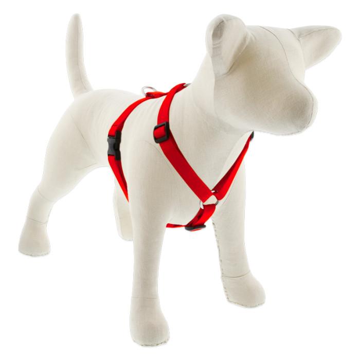 Lupine Pet Basic Solids Roman Dog Harness, Red, 3/4-in x 12-20-in