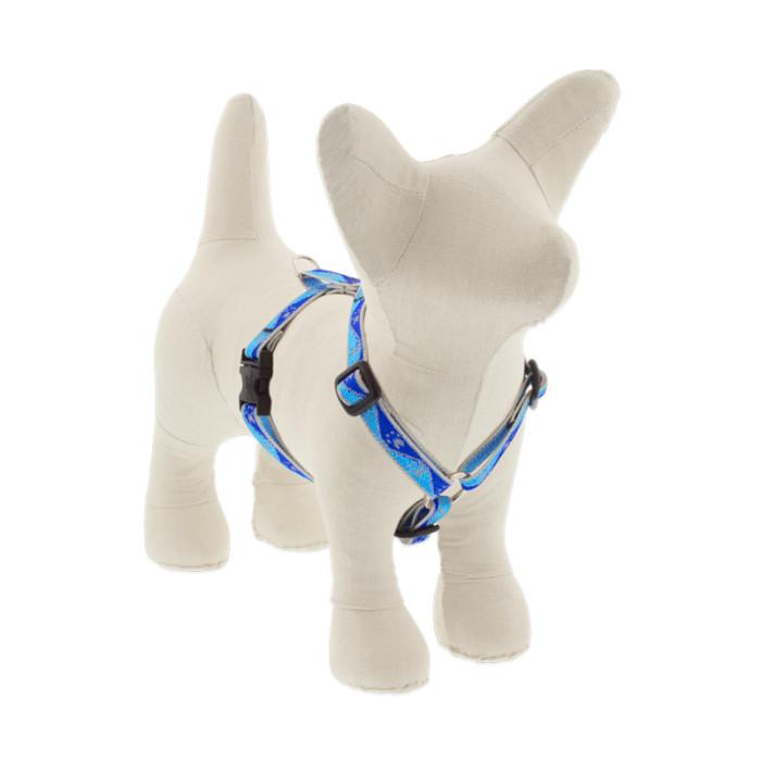 Lupine Pet High Lights Reflective Roman Dog Harness, Blue Paws