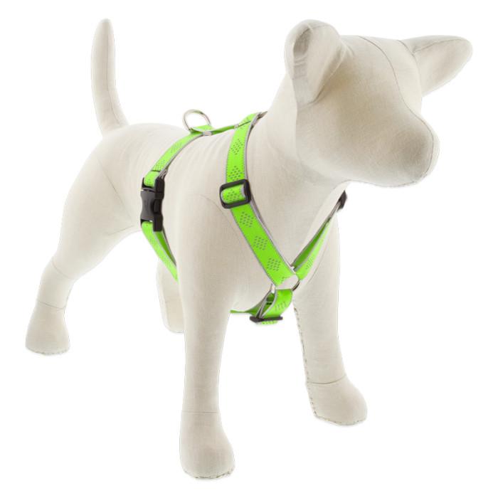 Lupine Pet High Lights Reflective Roman Dog Harness, Green Diamond, 1-in x 24-38-in
