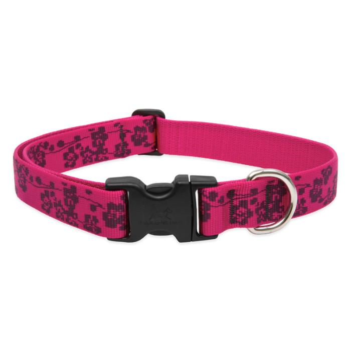 Lupine Pet Original Designs Adjustable Dog Collar, Plum Blossom, 1-in x 12-20-in