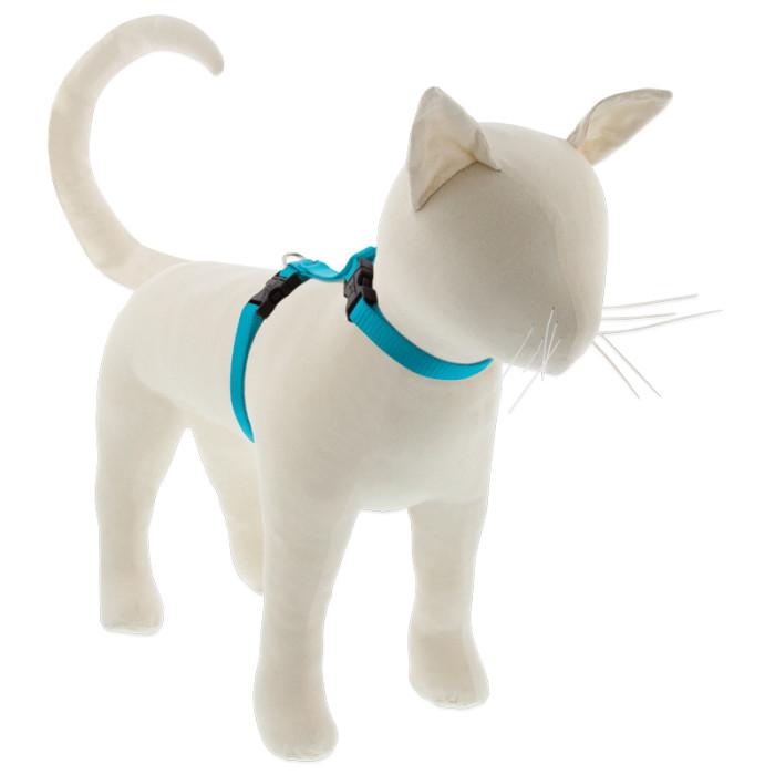 Lupine Pet Basic Solids H-Style Cat Harness, Aqua, 1/2-in x 9-14-in