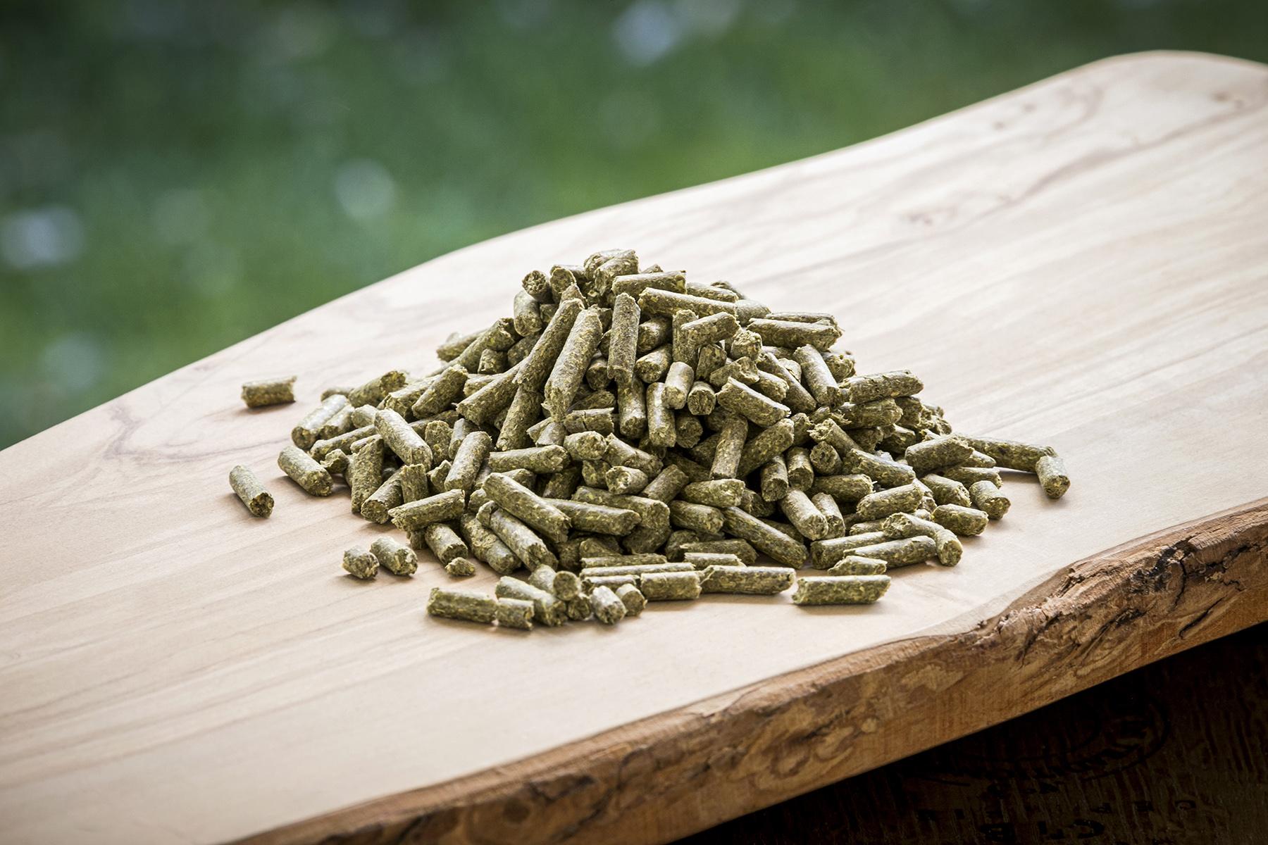 Modesto Milling Corn/Soy Free Pellets Rabbit Food