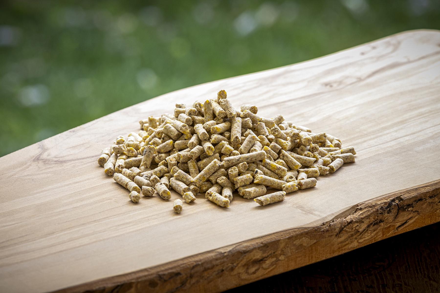 Modesto Milling Grower Pellets Hog Food, 40-lb