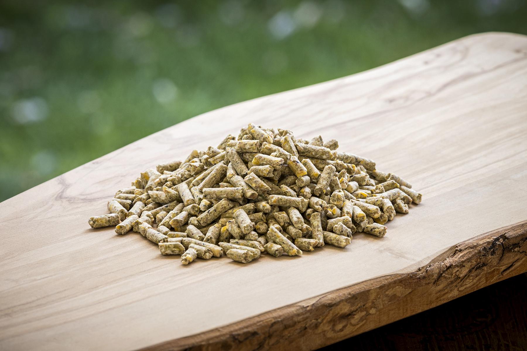 Modesto Milling Organic Dairy Pellets Goat Food