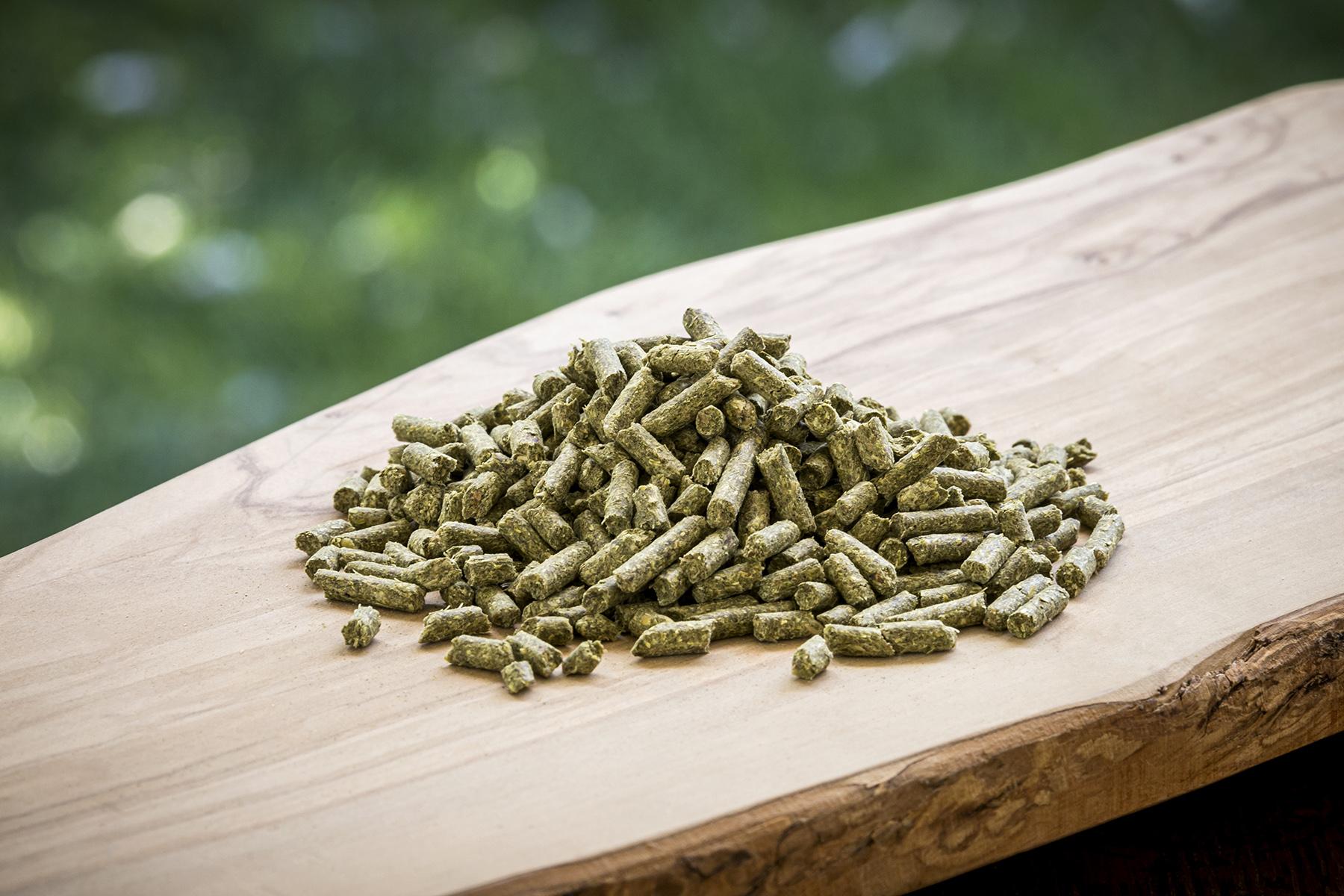 Modesto Milling Organic Pellets Horse Supplement, 25-lb