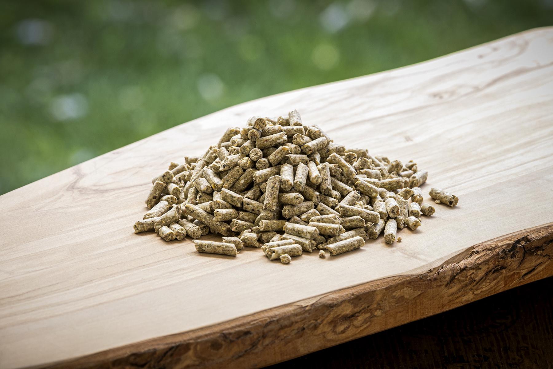 Modesto Milling Organic Corn/Soy Free Layer Pellets Chicken Feed, 40-lb