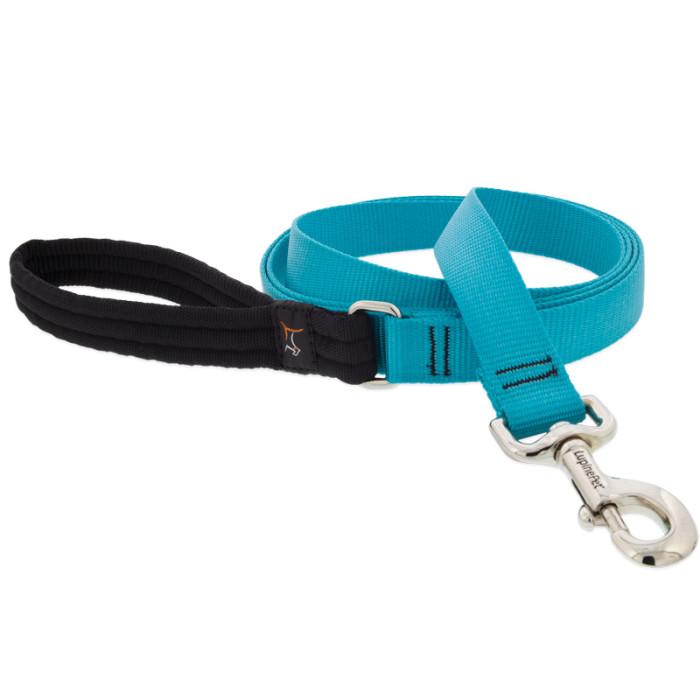 Lupine Pet Basic Solids Dog Leash, Aqua, 1-in x 4-ft