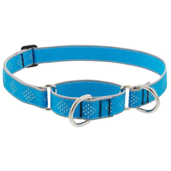 Lupine Pet High Lights Reflective Martingale Dog Collar, Blue Diamond, 1-in x 15-22-in