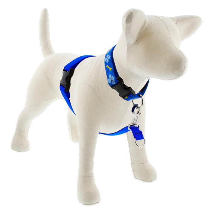 Lupine Pet Basic Solids No Pull Dog Harness, Blue, 1-in x 26-38-in