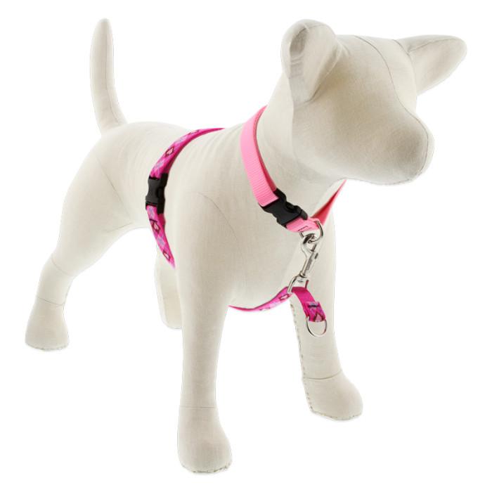 Lupine Pet Original Designs No Pull Dog Harness, Puppy Love, 3/4-in x 16-26-in