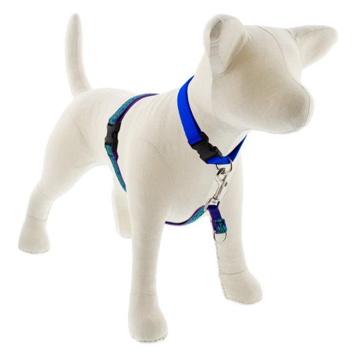 Lupine Pet Original Designs No Pull Dog Harness, Rain Song