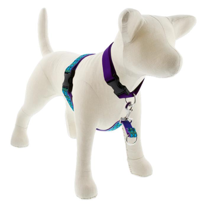 Lupine Pet Original Designs No Pull Dog Harness, Rain Song, 1-in x 26-38-in