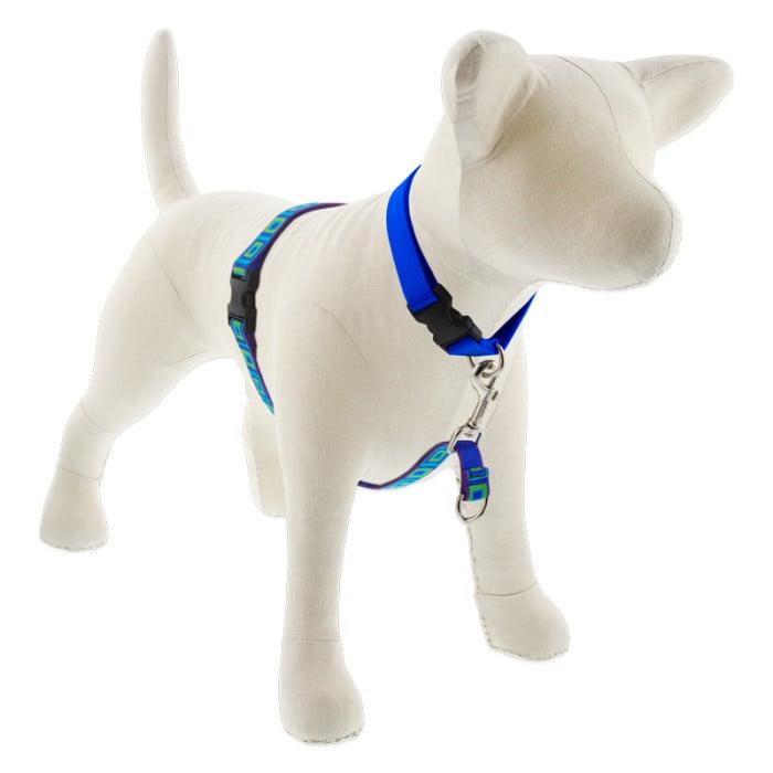 Lupine Pet Original Designs No Pull Dog Harness, Sea Glass