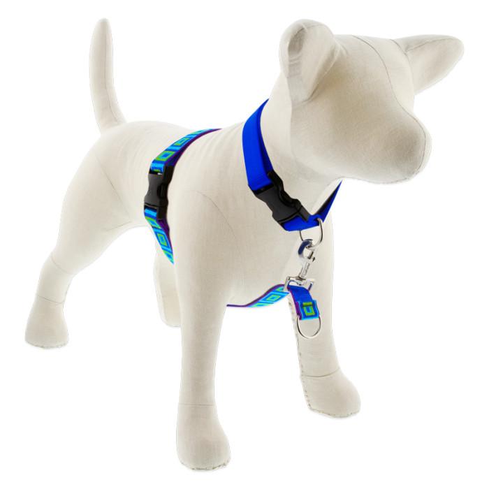 Lupine Pet Original Designs No Pull Dog Harness, Sea Glass, 1-in x 26-38-in
