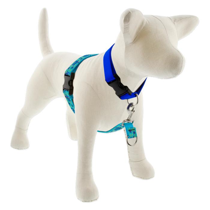 Lupine Pet Original Designs No Pull Dog Harness, Turtle Reef, 1-in x 26-38-in