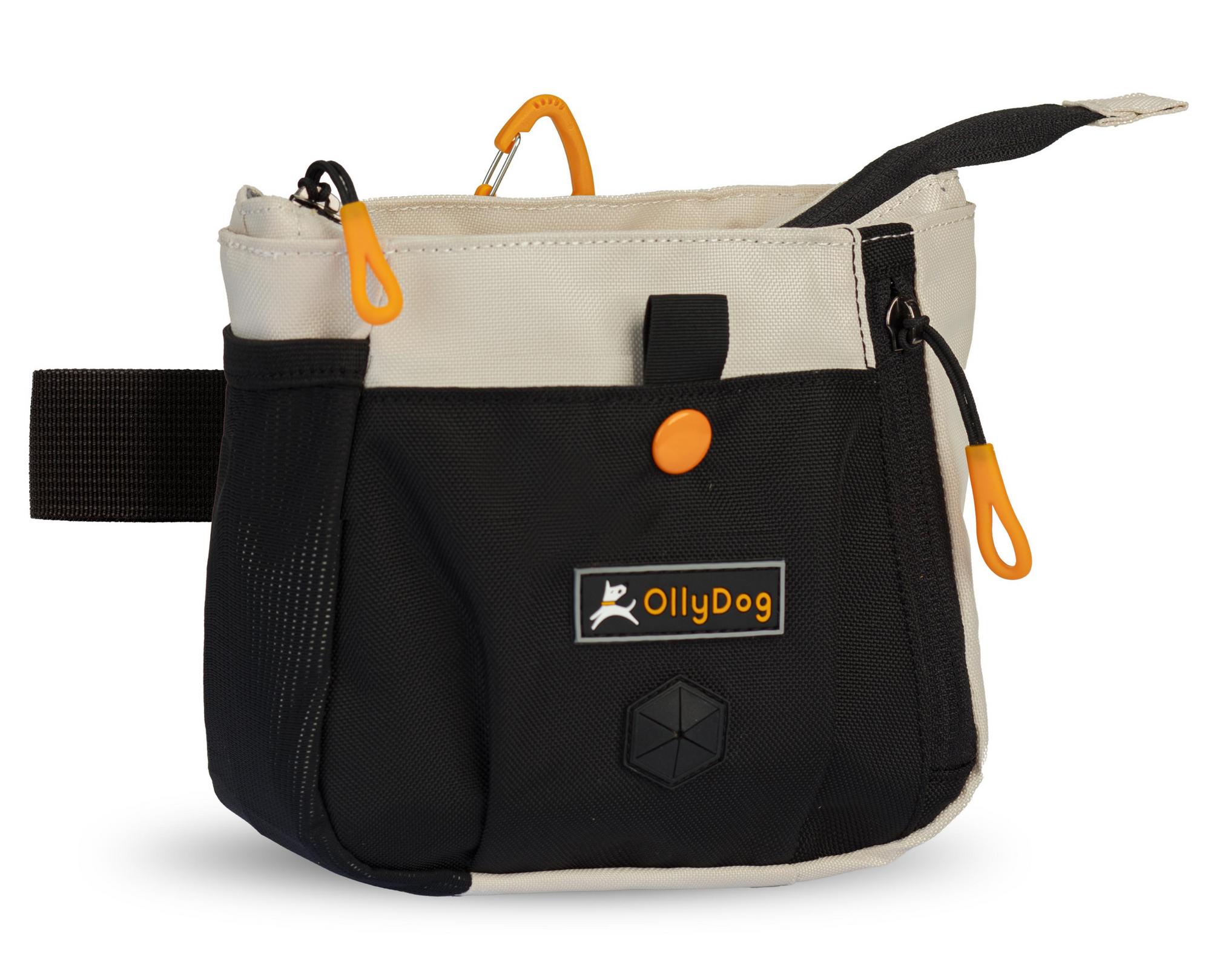 OllyDog Backcountry Day Bag for Dogs, Bluff