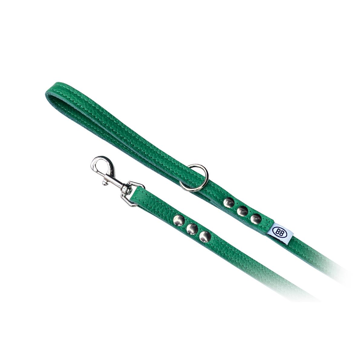 Buddy Belts Limited Leather Leash for Dogs, Emerald, 3/4-in x 4-ft