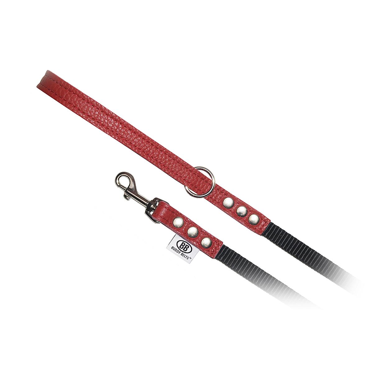 Buddy Belts Permanent Nylon Accent Dog Leash, Red