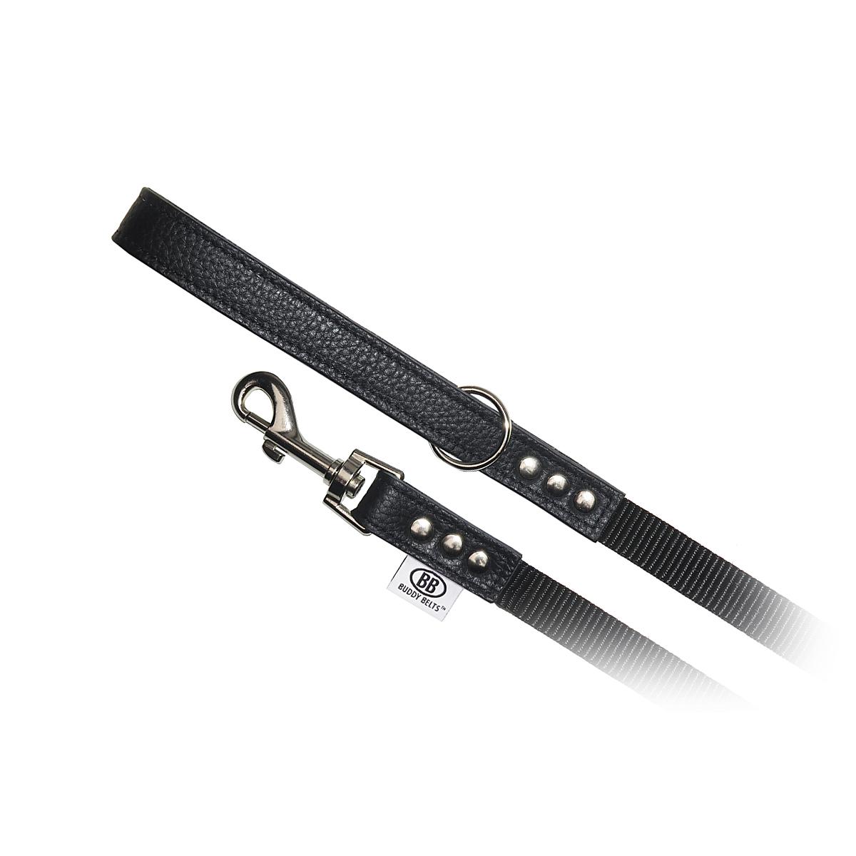 Buddy Belts Permanent Nylon Accent Dog Leash, Black, 3/4-in x 4-ft