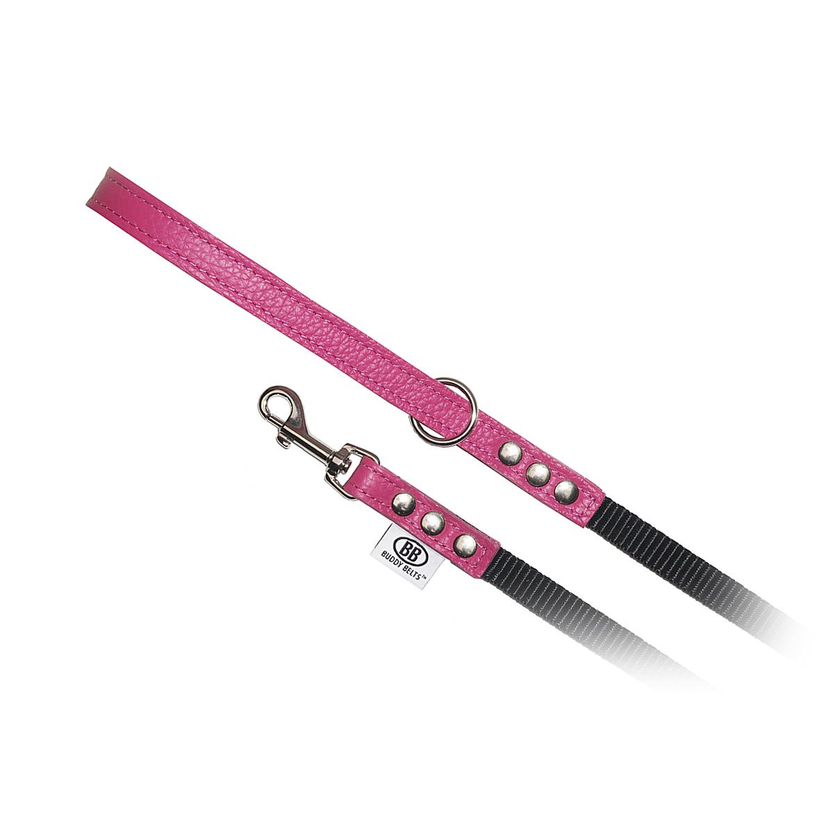 Buddy Belts Permanent Nylon Accent Dog Leash, Hot Pink