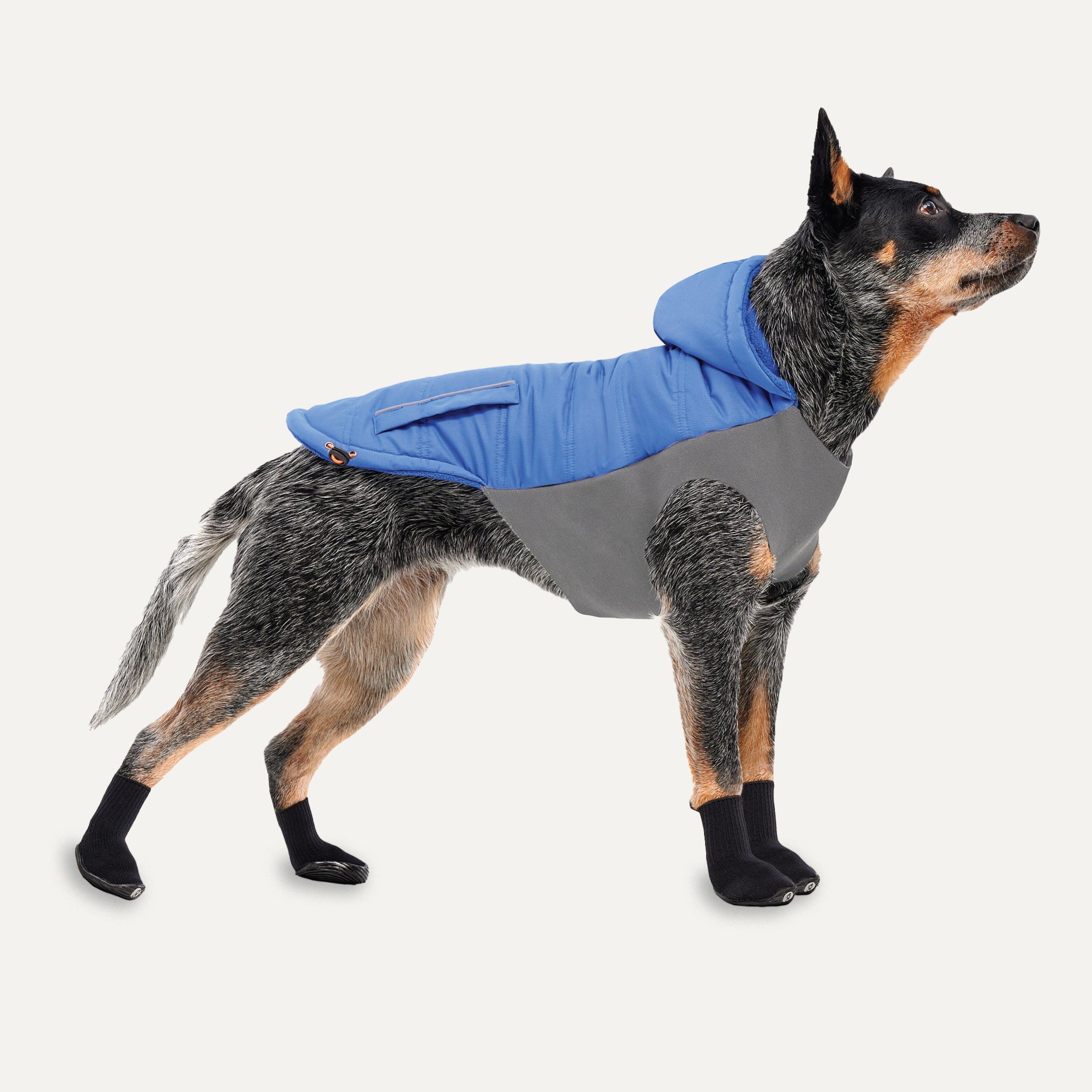 Goo-eez Hooded Signature Winter Dog Jacket, Royal Blue, XX-Small