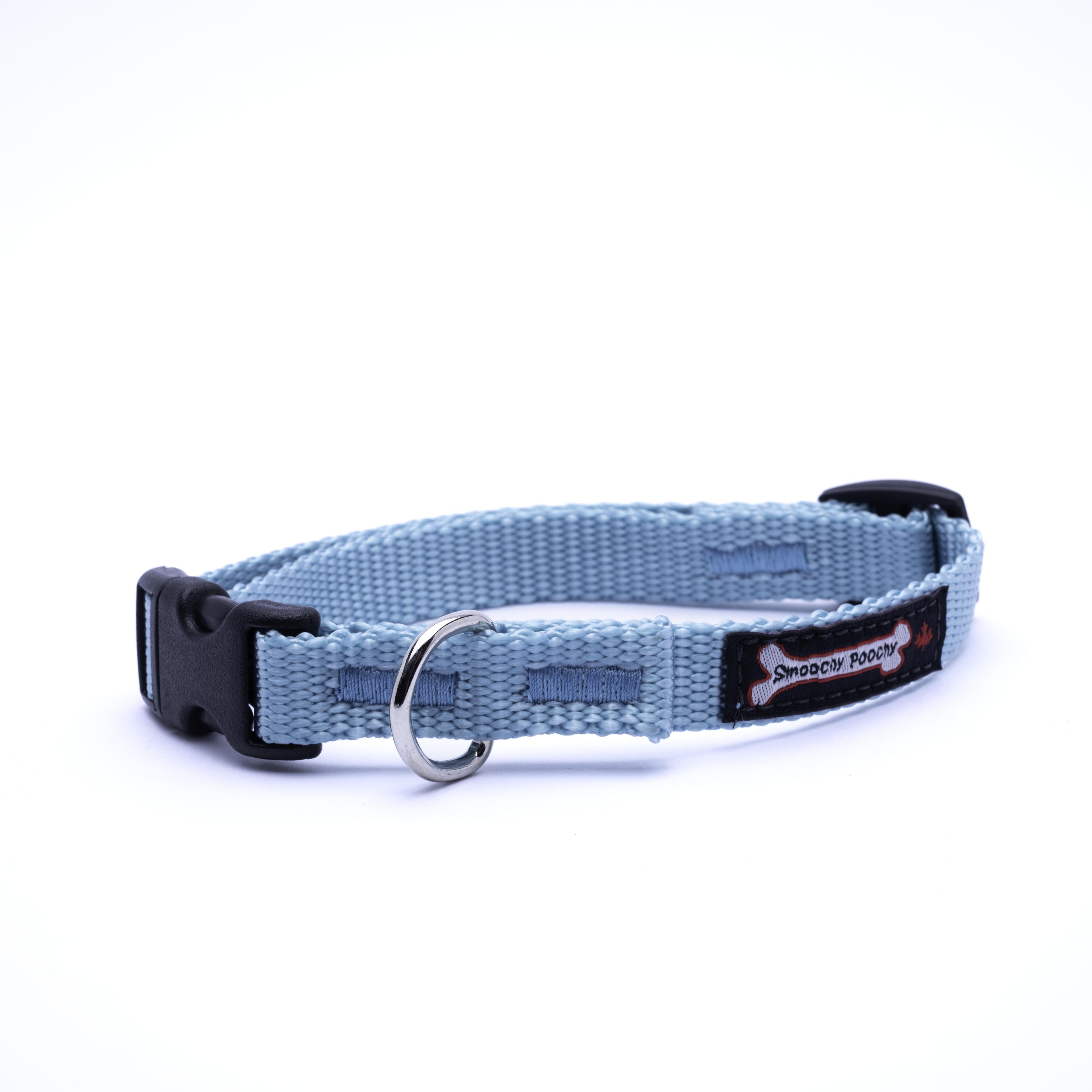 Smoochy Poochy Nylon Dog Collar, Turquoise, Small