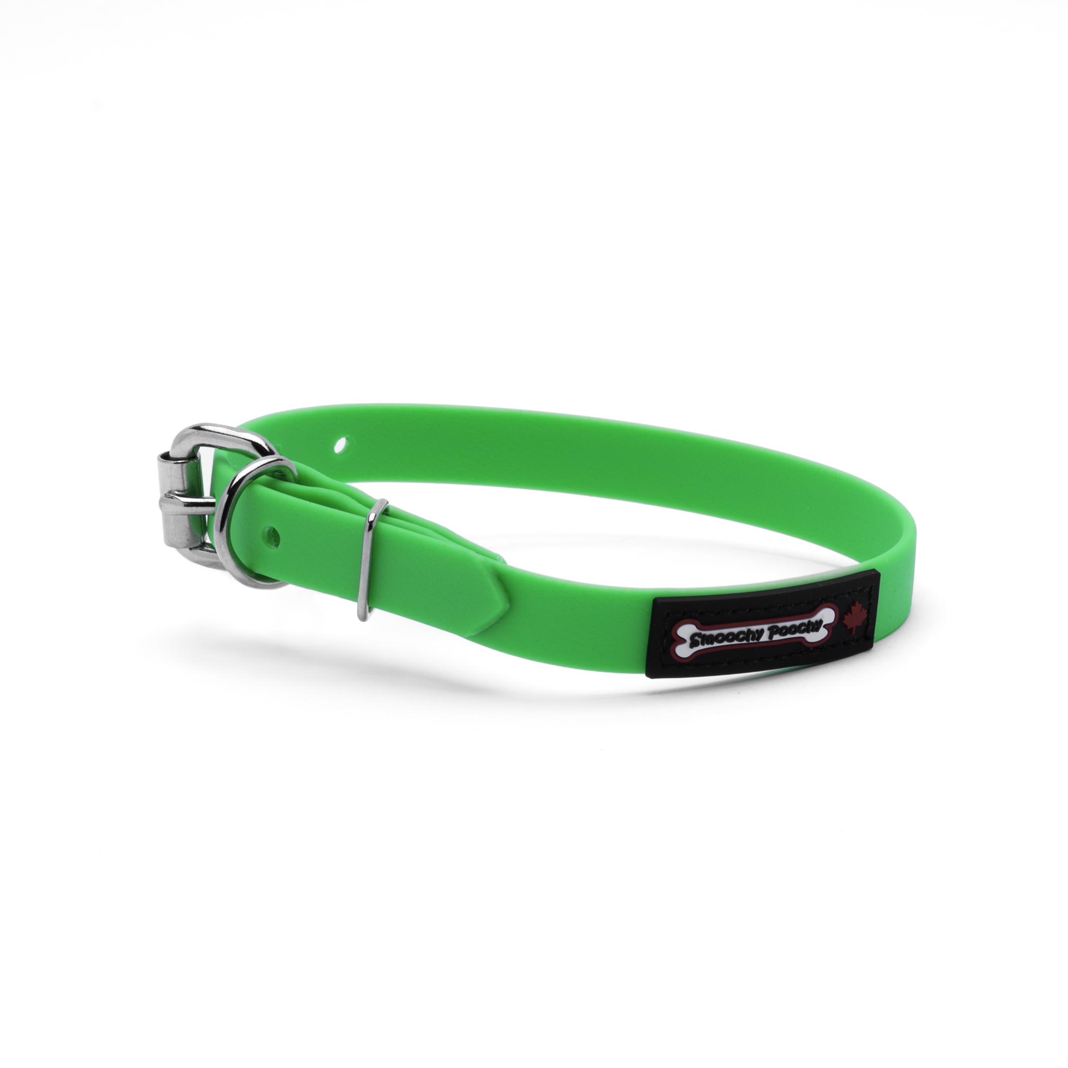 Smoochy Poochy Polyvinyl Buckle Style Dog Collar, Apple, 5/8-in x 12.75-15.25-in