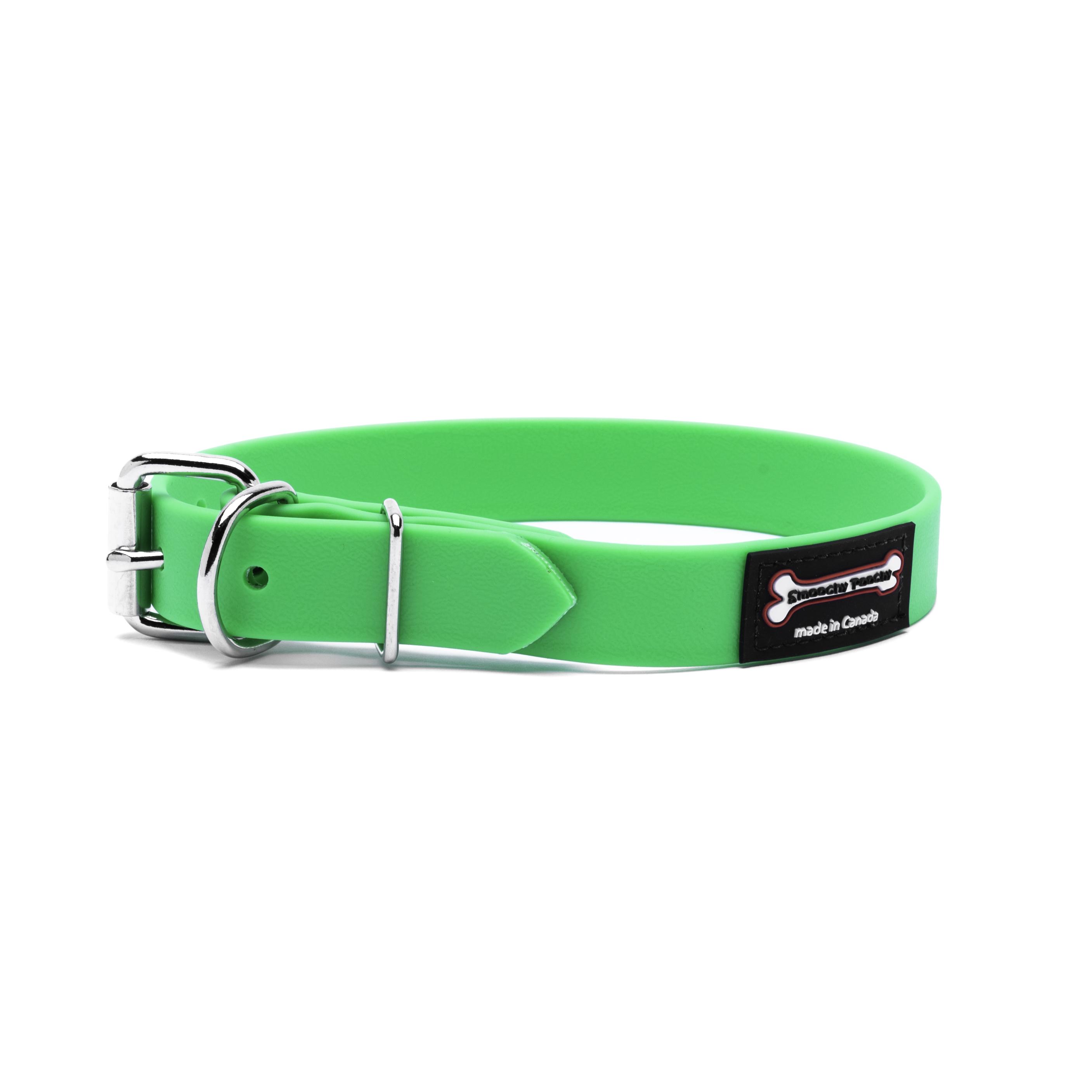 Smoochy Poochy Polyvinyl Buckle Style Dog Collar, Apple, 1-in x 18-22-in