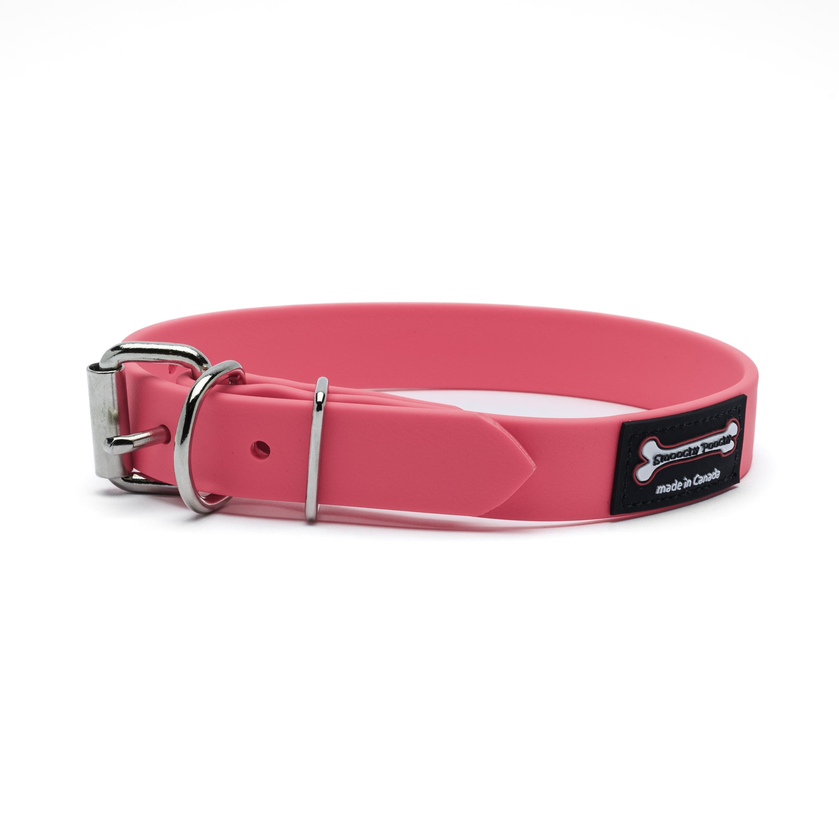 Smoochy Poochy Polyvinyl Buckle Style Dog Collar, Hot Pink, 1-in x 14-18-in