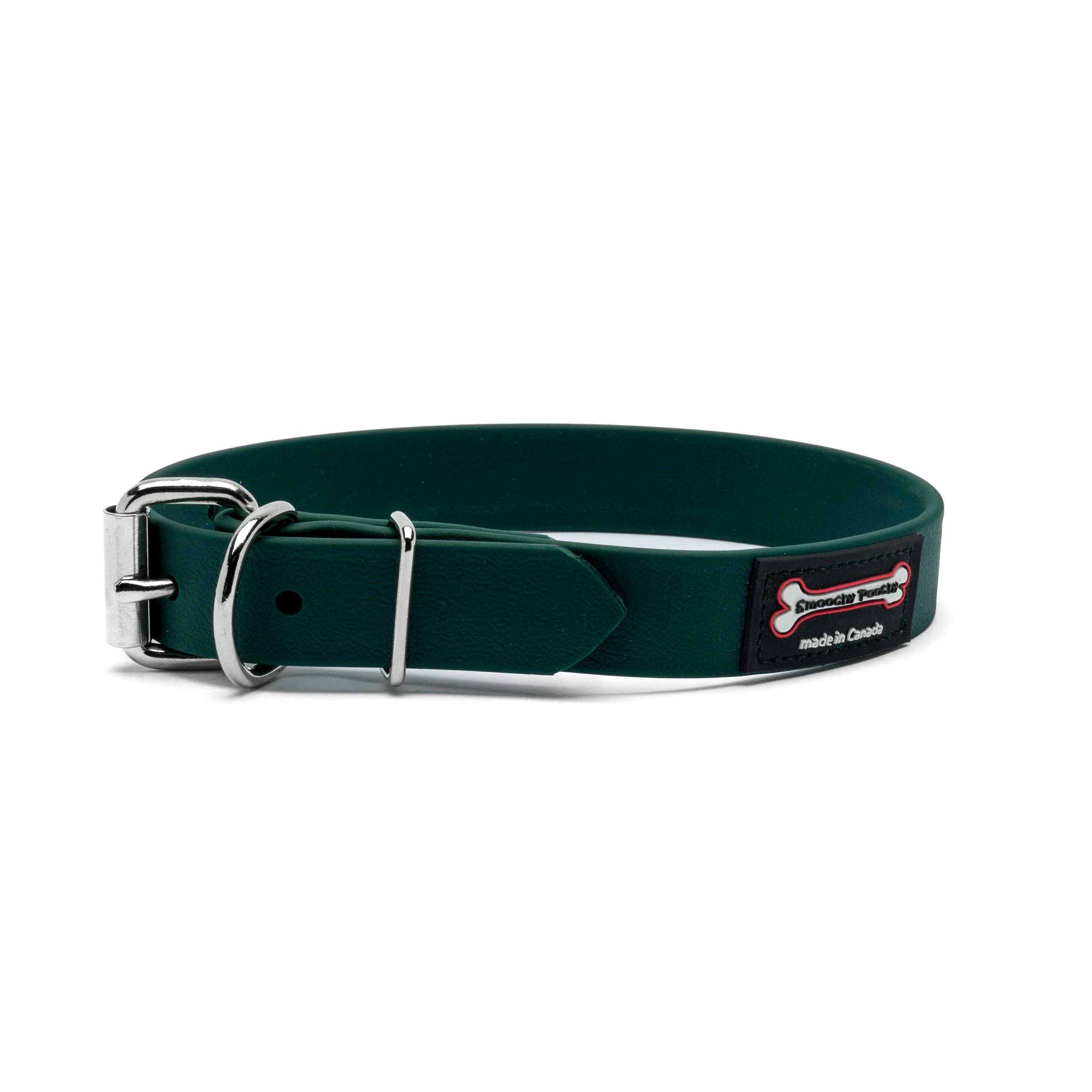 Smoochy Poochy Polyvinyl Buckle Style Dog Collar, Jaguar, 1-in x 12-16-in