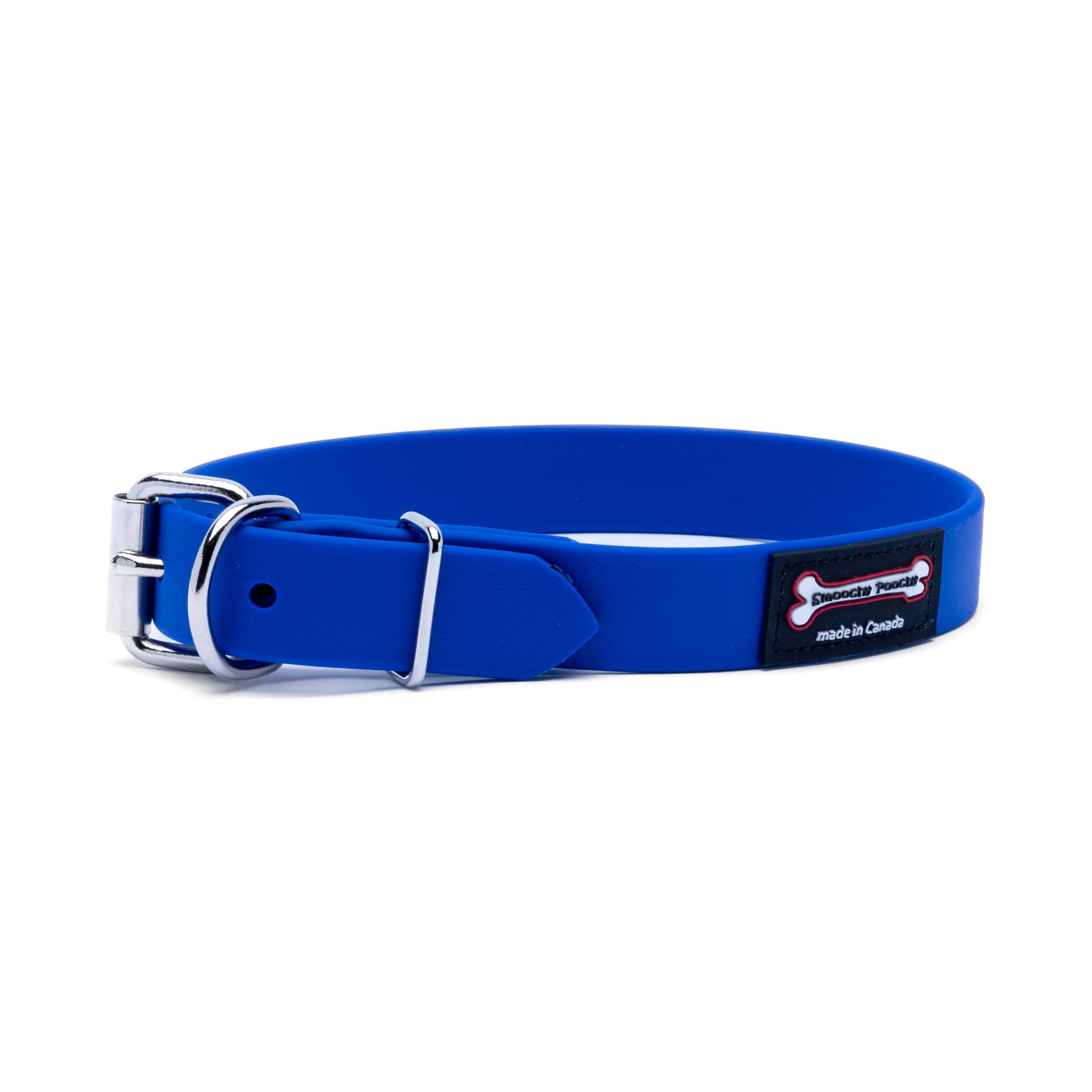 Smoochy Poochy Polyvinyl Buckle Style Dog Collar, Ocean, 1-in x 16-20-in