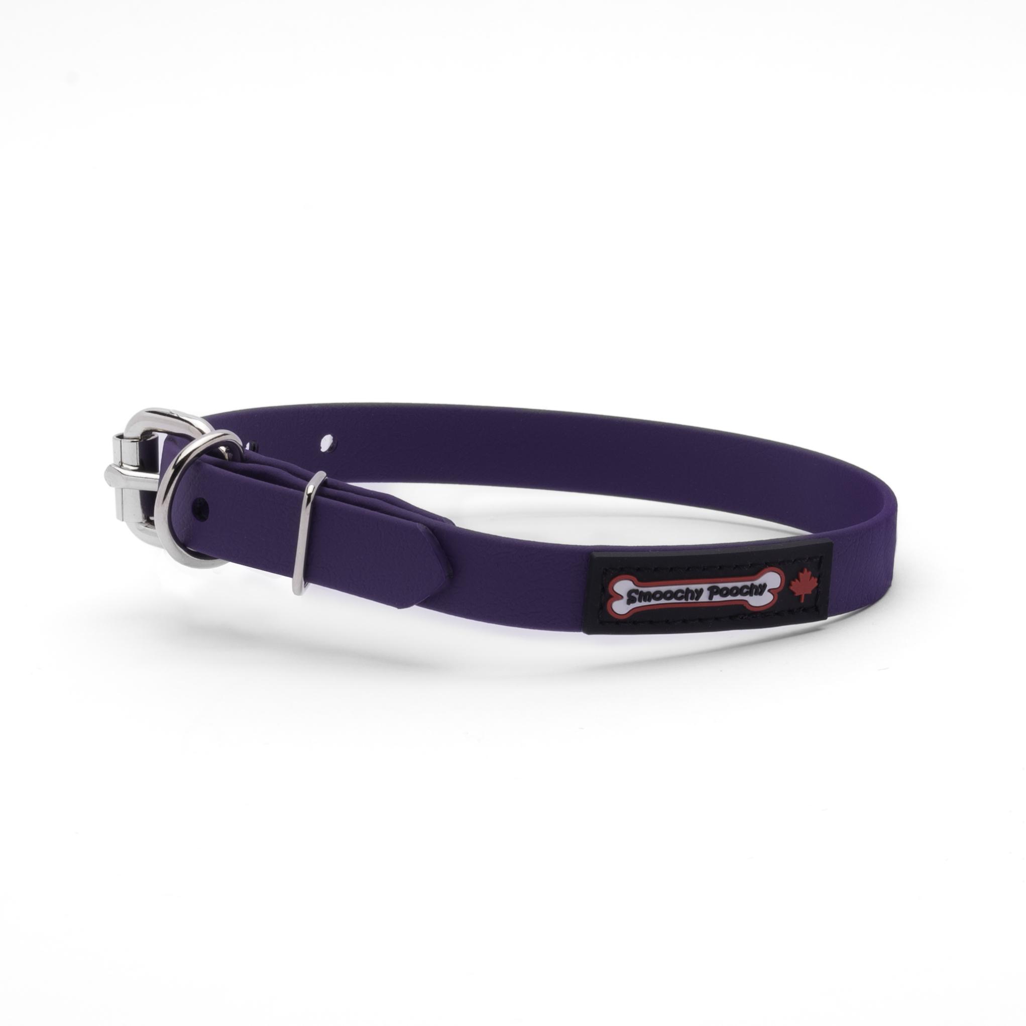 Smoochy Poochy Polyvinyl Buckle Style Dog Collar, Purple, 5/8-in x 10.75-13.25-in