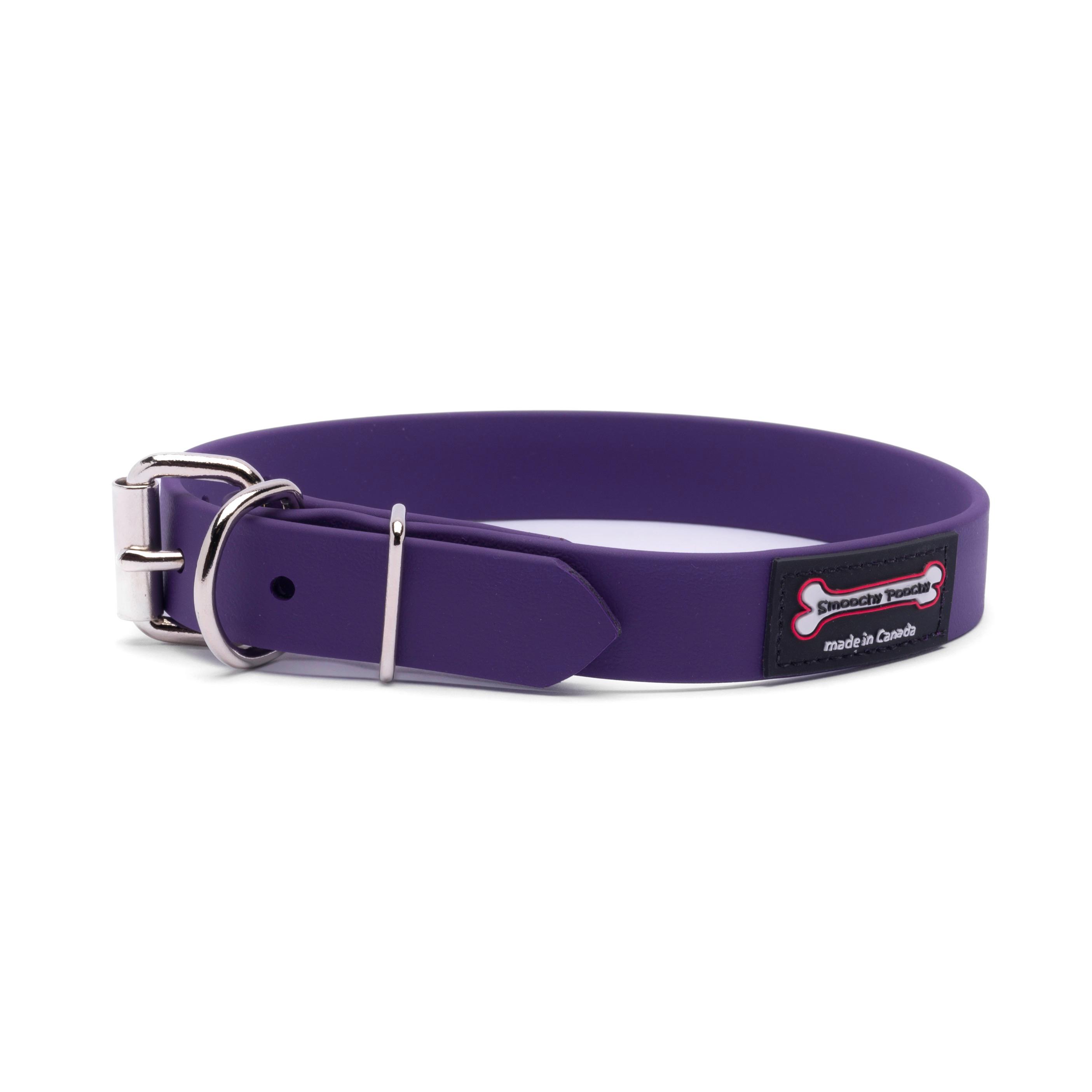 Smoochy Poochy Polyvinyl Buckle Style Dog Collar, Purple, 1-in x 12-16-in