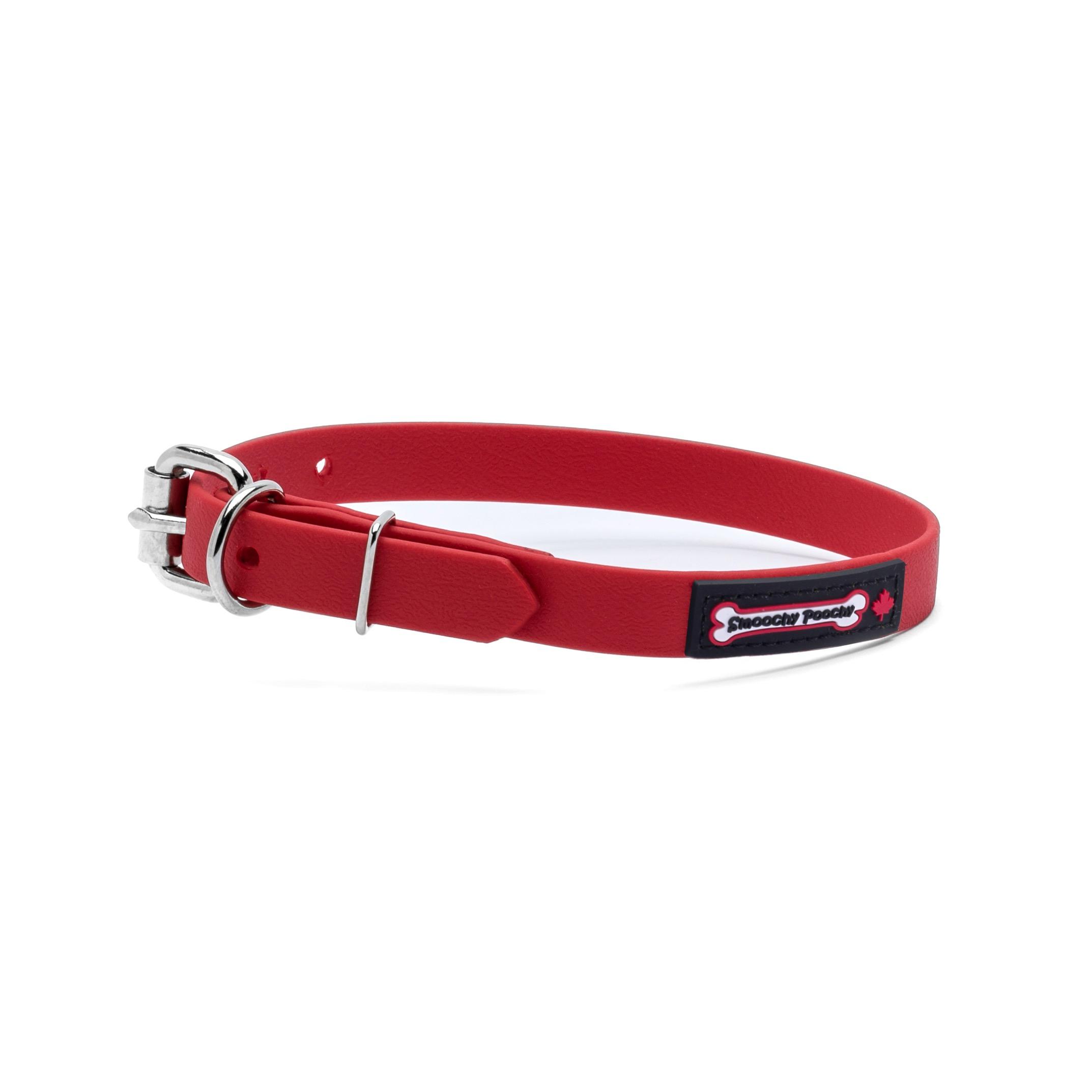 Smoochy Poochy Polyvinyl Buckle Style Dog Collar, Red, 5/8-in x 10.75-13.25-in