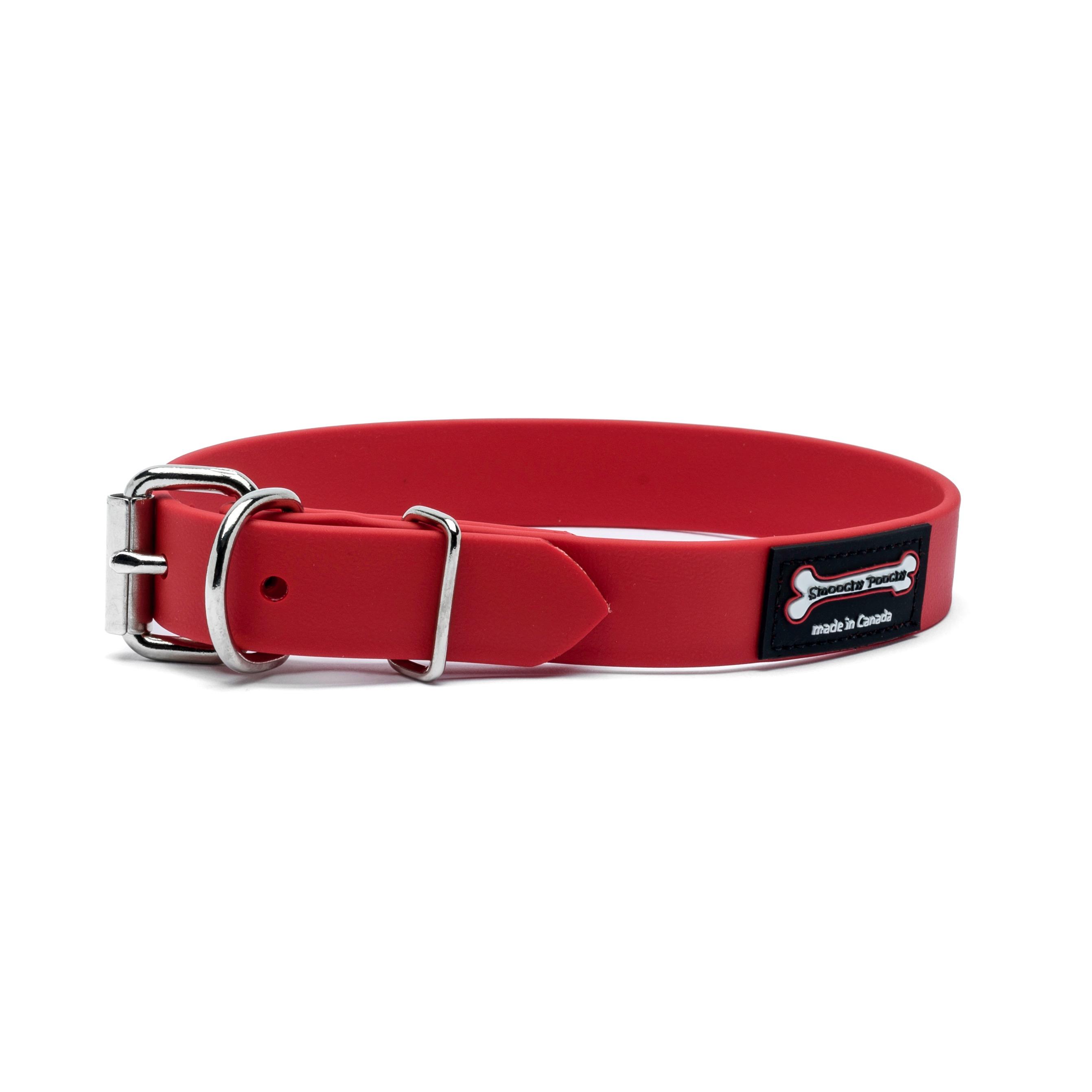 Smoochy Poochy Polyvinyl Buckle Style Dog Collar, Red, 1-in x 12-16-in