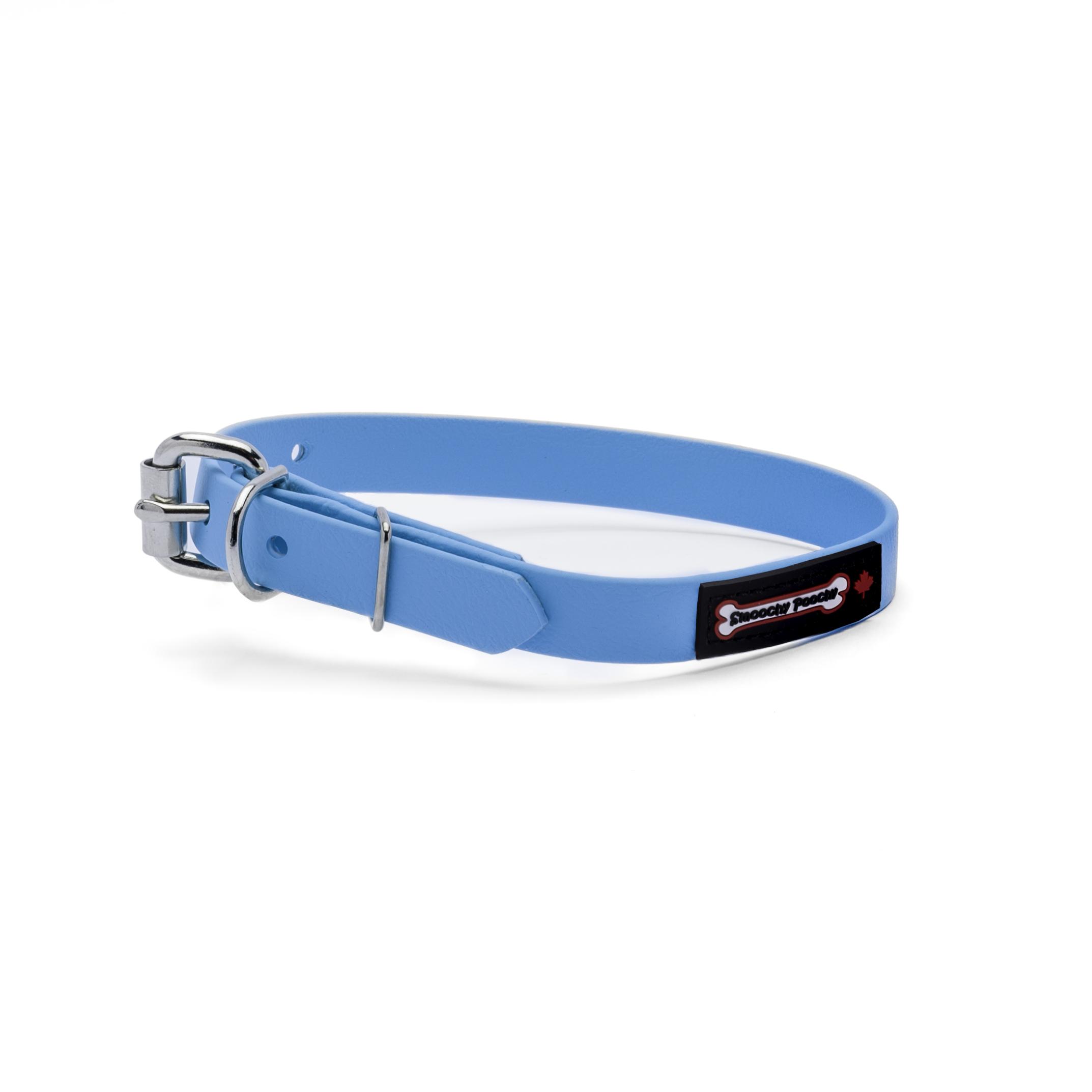 Smoochy Poochy Polyvinyl Buckle Style Dog Collar, Turquoise, 5/8-in x 10.75-13.25-in