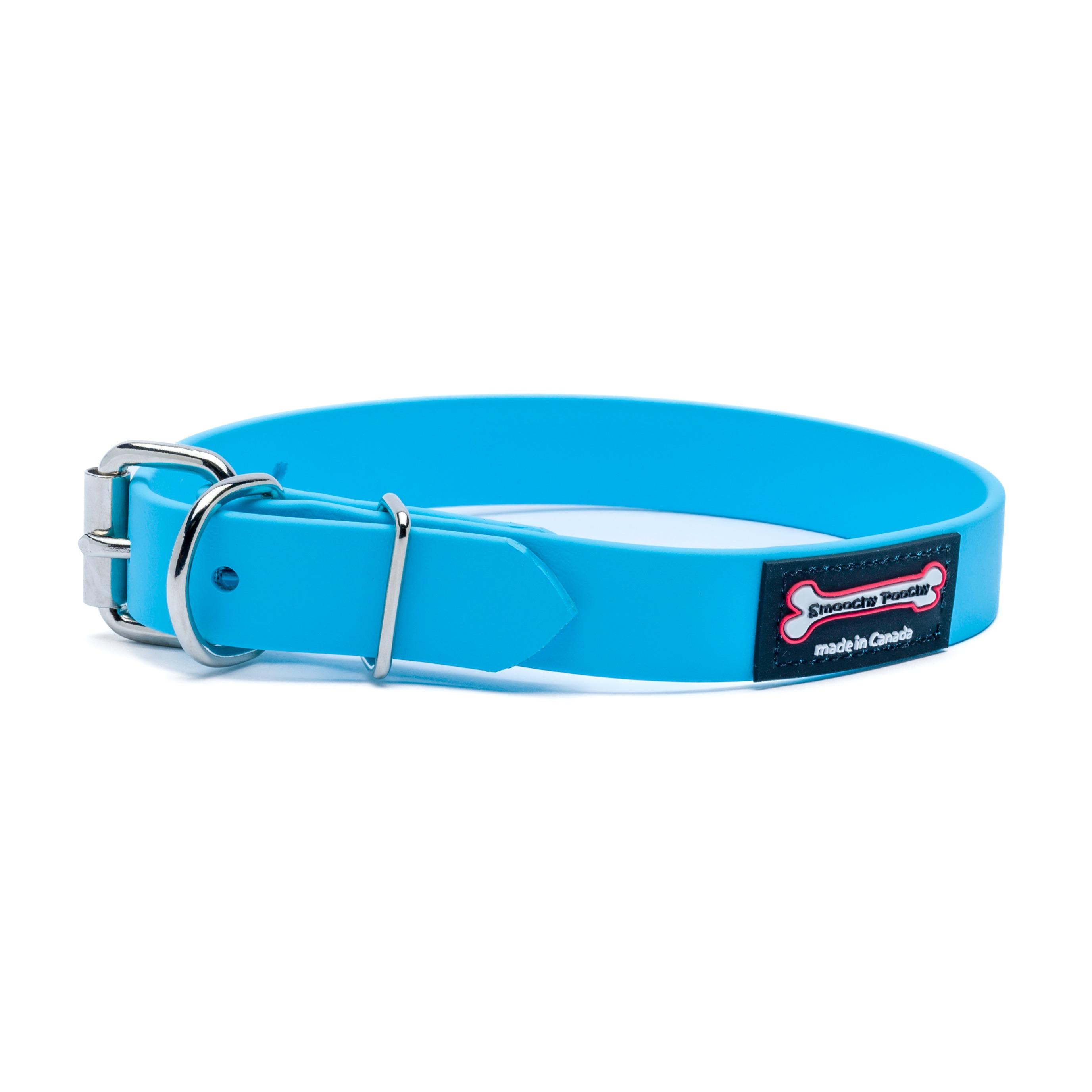 Smoochy Poochy Polyvinyl Buckle Style Dog Collar, Turquoise, 1-in x 12-16-in